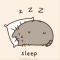 灰猫 熟睡 可爱 动漫
