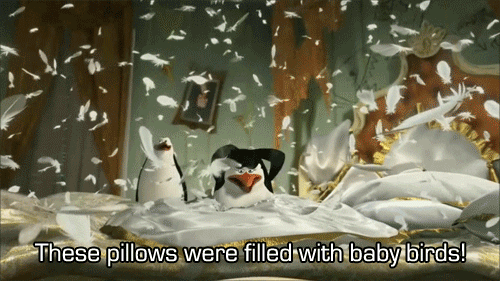 朋友 漫画与漫画；漫画 电影 可爱的 电影 可爱极了 羽毛 企鹅 企鹅 马达加斯加 鸟 床 枕头
