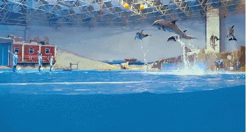 海洋馆 海豚 表演 跳水