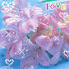 Love 花 浪漫 爱情