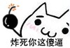 炸死你这傻逼   多罗猫   炸弹   好贱