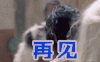 再见
