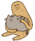 抱个小猫猫 挠痒 猥琐 拾荒人 屎黄色 有趣