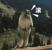 土拨鼠 呐喊 滚 跺脚