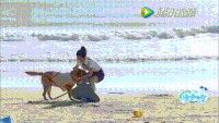 美女 狗狗 大海 海浪