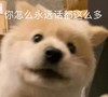 萌宠 汪星人 你怎么永远话都这么多 嫌弃 搞怪 逗