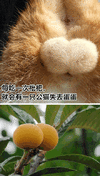 沙雕图 沙雕表情包 今日沙雕