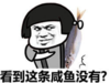金馆长 蘑菇头 搞笑 看到这条咸鱼没有