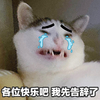 萌宠 猫星人 我先走了 伤心 无辜 可怜