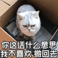 猫 撤回去 不喜欢