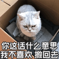 猫 撤回去 不喜欢 搞怪 可爱