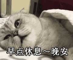 【晚安猫】gif动态图片 - 晚安猫动图表情包下载 - 动