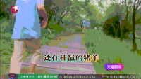 极限挑战 搞笑 张艺兴 黄渤 黄磊 孙红雷