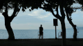 海边 冥想 注视 孤单