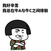 蘑菇头 抱胳膊 思考 我总在在牛A与牛C之间徘徊