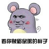 老鼠  ，贱样   看你贼眉鼠眼的样子  尾巴