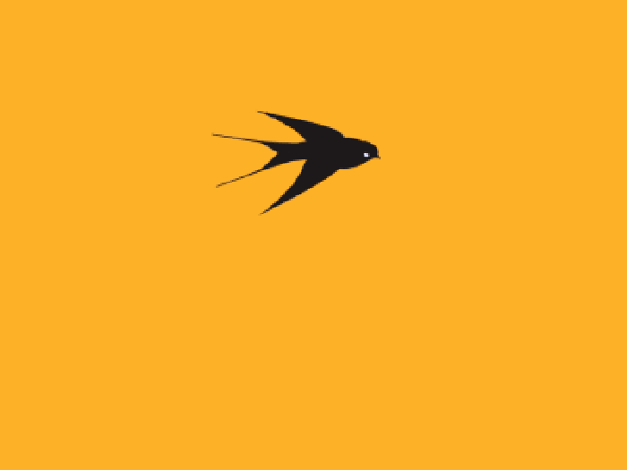 小燕子 飞舞 飞翔 线条