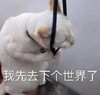萌宠 猫星人 我先去下个世界了 再见 呆萌 可爱