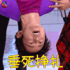 快乐大本营 何炅 垂死挣扎 soogif soogif出品