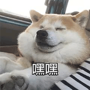 萌宠汪星人嘿嘿得意搞怪呆萌gif动图_动态图_表情包下载_soogif