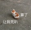 萌宠 汪星人 算了 让我死吧 我走了 搞怪 呆萌 逗