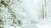 大雪 大自然 风景 美不胜收