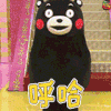熊本熊 呼哈 soogif