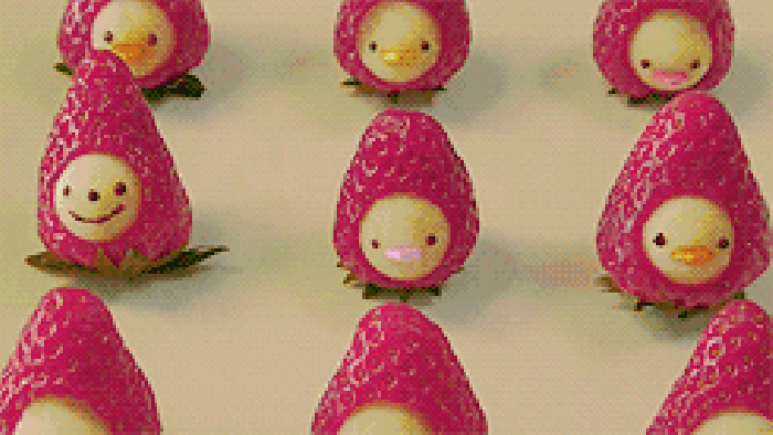 草莓 好看 小鸡 可爱