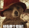 快看那个傻逼 狗熊 红帽子 指着前面