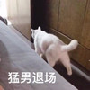 萌宠 猫星人 猛男退场 我走了 搞怪 逗