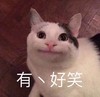 萌宠 猫星人 有点好笑 开心 呆萌 可爱