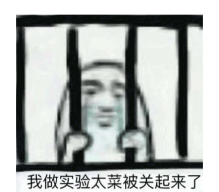 专业表情包 专用表情包