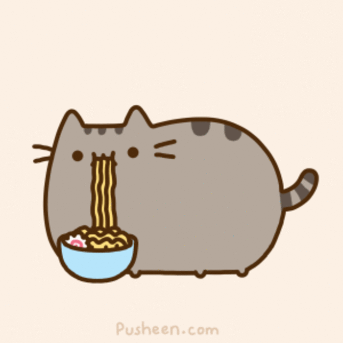 猫咪 碗 面条 吃货