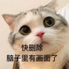 萌宠 猫星人 快删除 脑子里有画面了 呆萌 可爱
