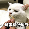 猫 喵星人 萌宠 不被美食所诱惑 soogif soogif出品