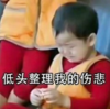 宋民国 萌娃 低头整理我的伤悲 可爱 搞笑 呆萌