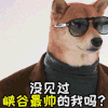 萌宠 可爱 萌星人