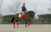 马术 Equestrianism sports 运动 骑马