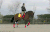 马术 Equestrianism sports 运动 骑马