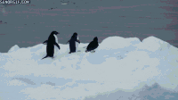 有趣的 冰 可爱的 企鹅 挥手