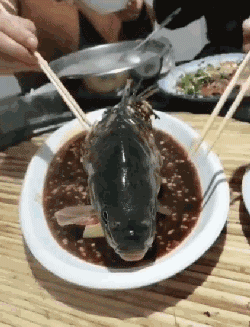 鲤鱼 盘子 张嘴 筷子