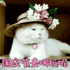 国庆节去哪玩呢 猫 猫咪 国庆 国庆节 soogif soogif出品
