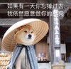萌宠 汪星人 如果有一天你忘掉过去 我依然愿意做你的舔狗 淘气 调皮