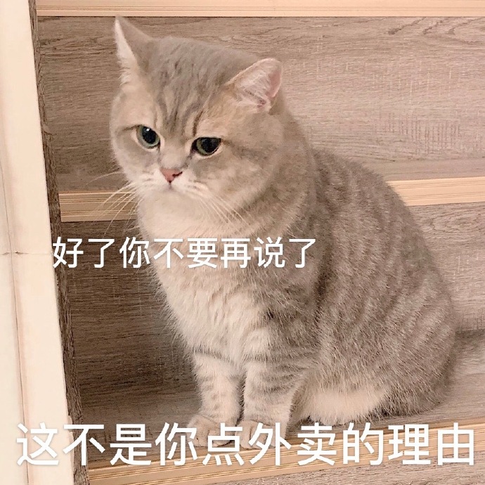 萌宠喵星人好了不要再说了搞怪逗gif动图_动态图_表情
