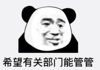 暴漫 文字表情包 希望有关部门管管 搞笑 逗 沙雕