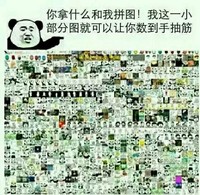 熊猫头 斗图 拿什么和我拼图 搞笑 斗图 密集