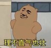 理不直气也壮 斗图 嘚瑟 棕熊
