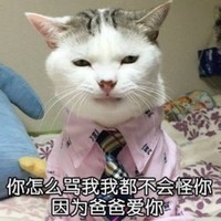 猫咪 喵星人 骂我不怪你 爸爸爱你 斗图 搞笑