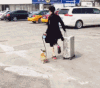 逗比 遛狗 行李箱 搞笑