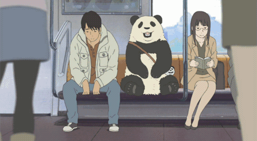 熊猫 看书 车上 讲话